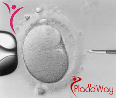 Slider image (5) Main Line Fertility Center